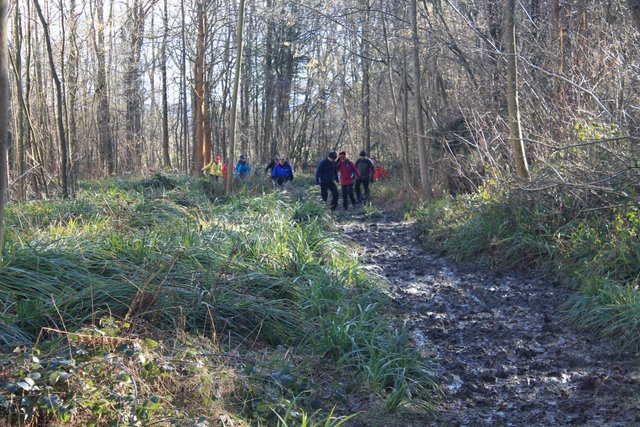 Muddy footpath